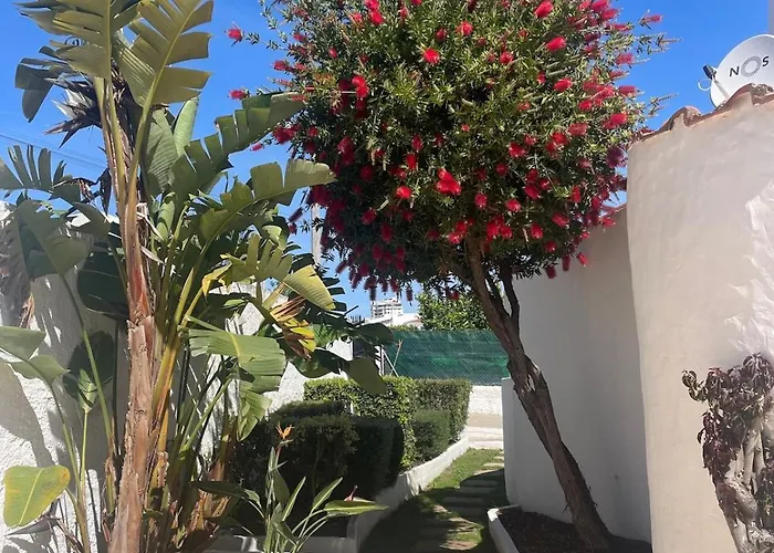 Luxury Private Pool, 別荘